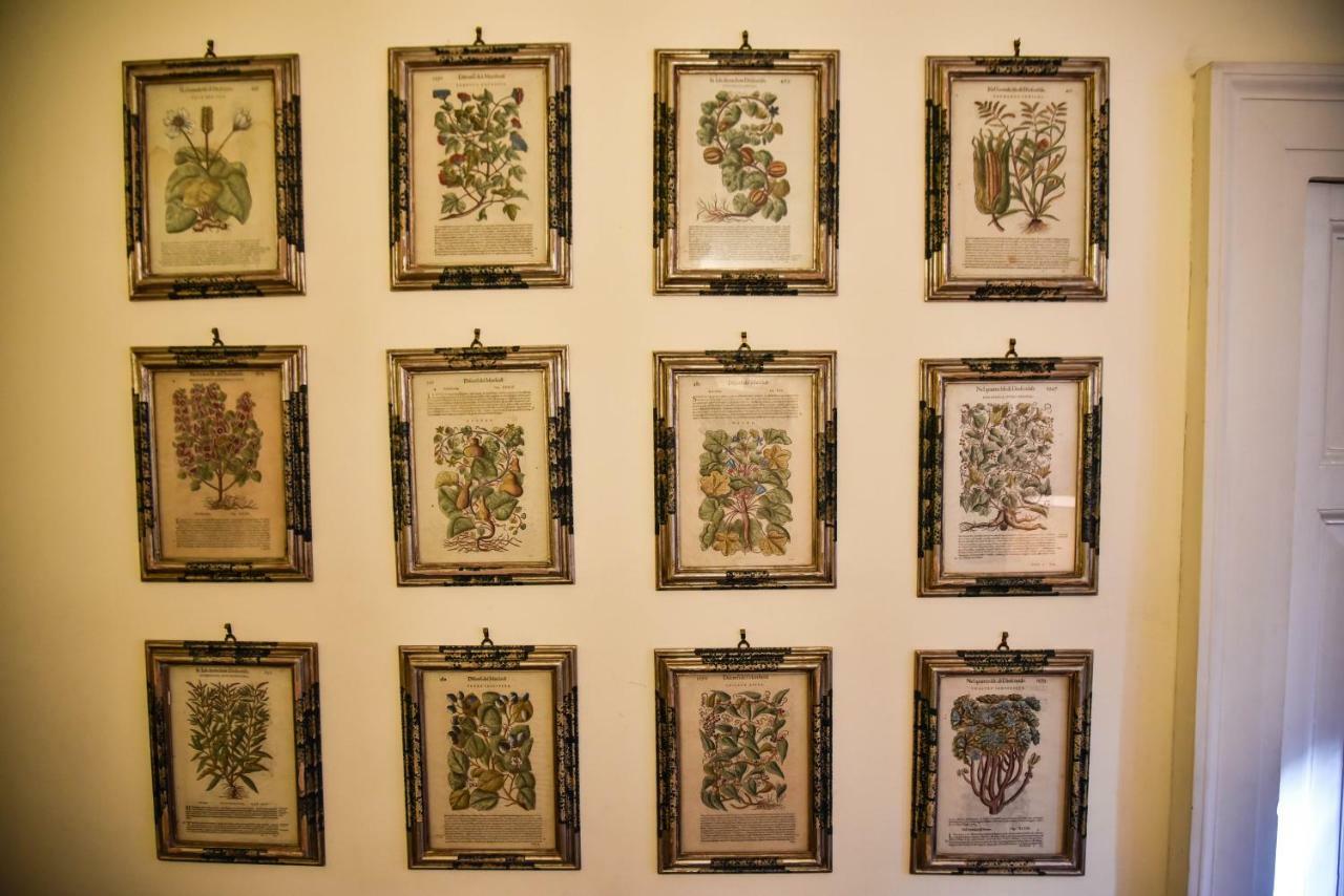 Stylish Apartment In Central Rome "Centro Storico" Bagian luar foto